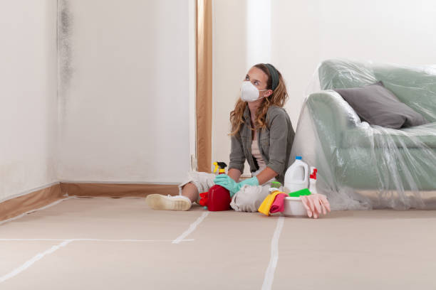 Reliable Mold Testing contractor in Mill Creek, PA by WQB Mold Removal